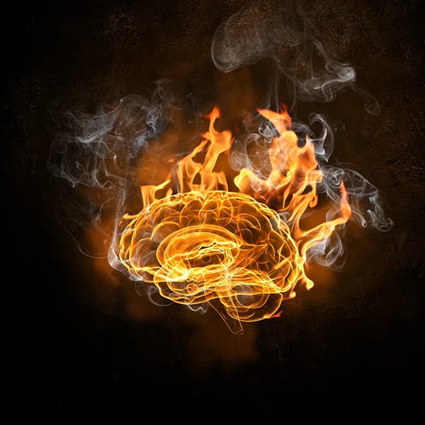 Brain on fire