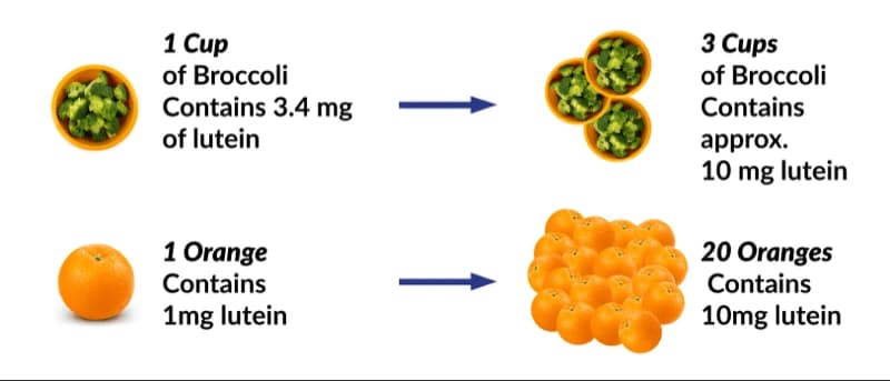 Lutein and your brain infographic