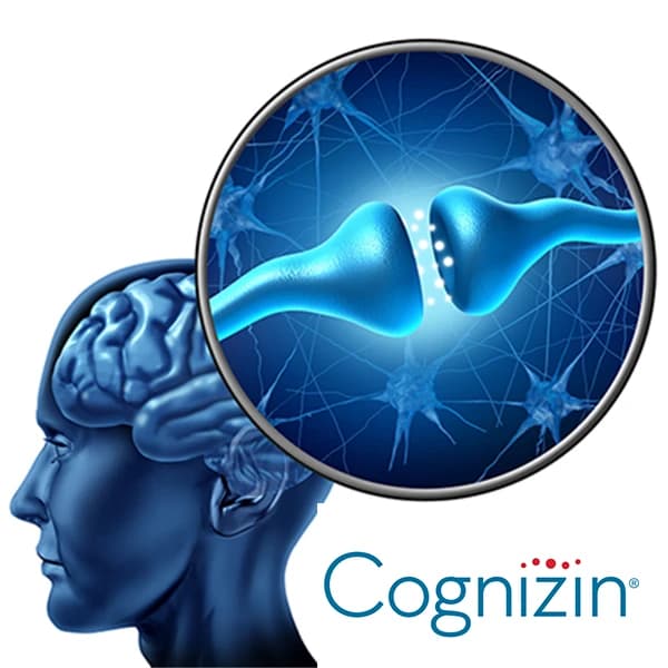 Cognizin logo
