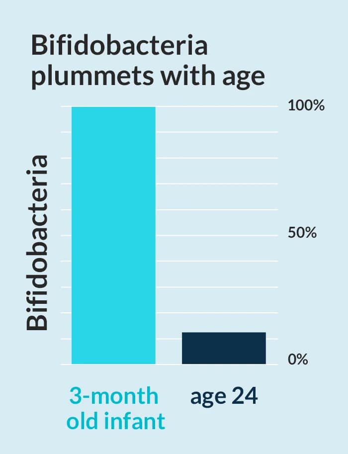 Bifidobacteria plummets with age