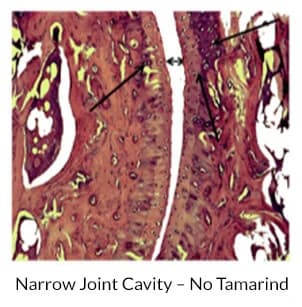Narrow Joint Cavity - No Tamarind
