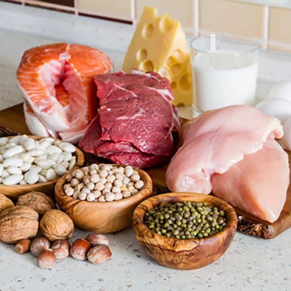 Selection of protein sources