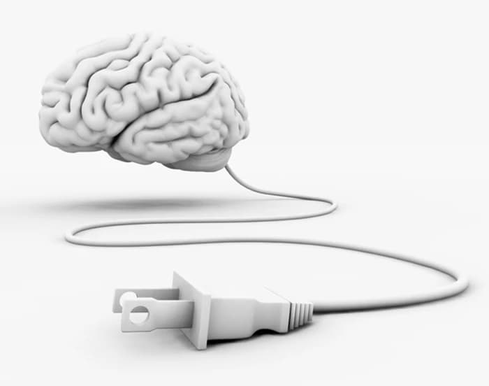 Brain with plug