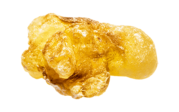 Boswellia