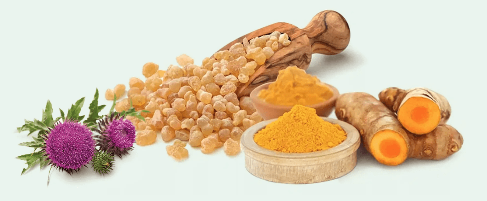 TJR ingredients