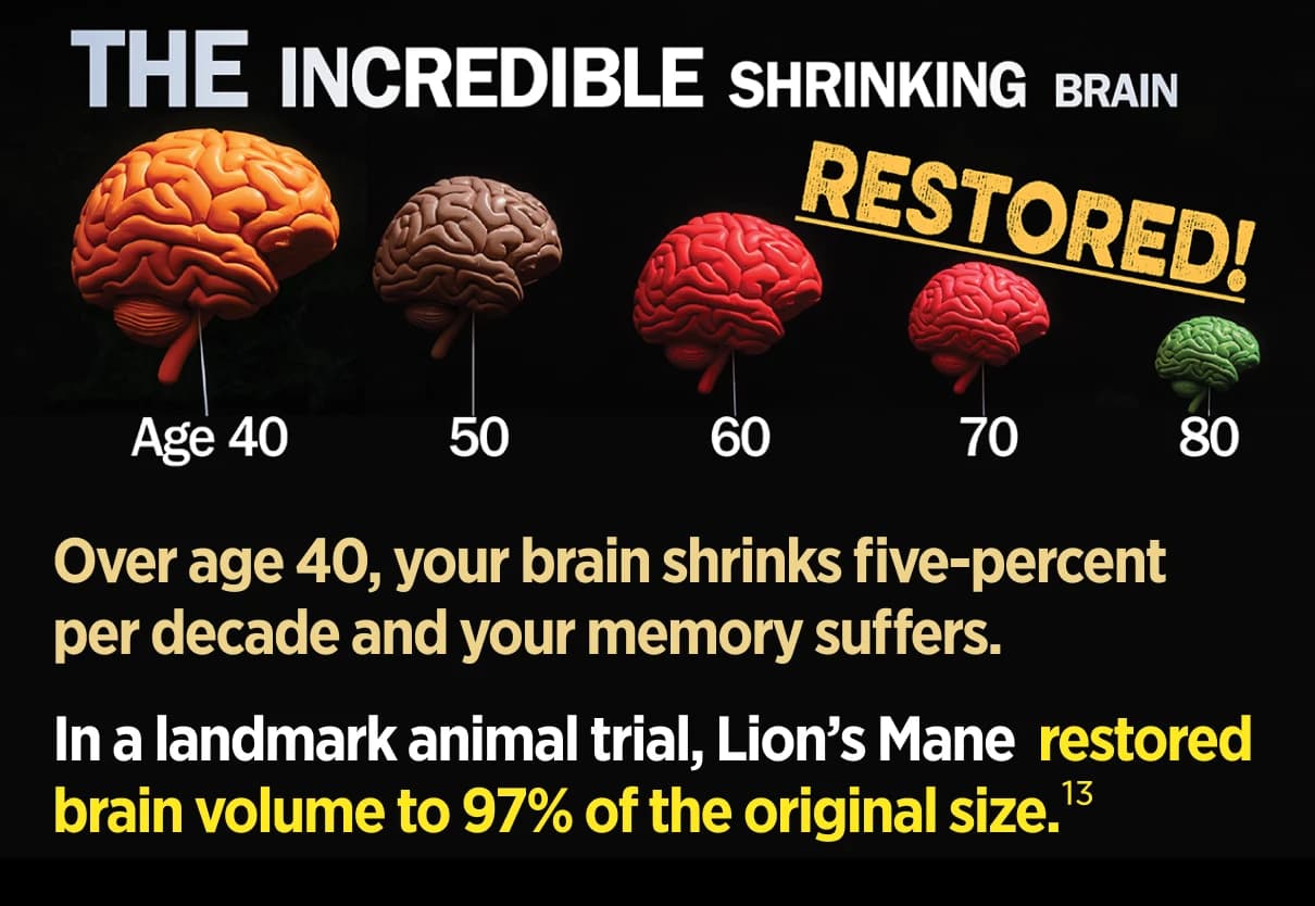 THE INCREDIBLE SHRINKING BRAIN