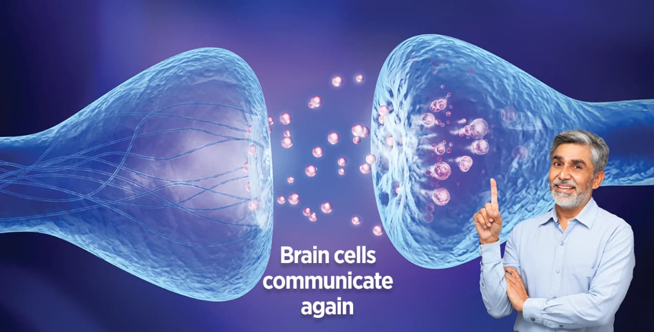 Brain Cells communicate again