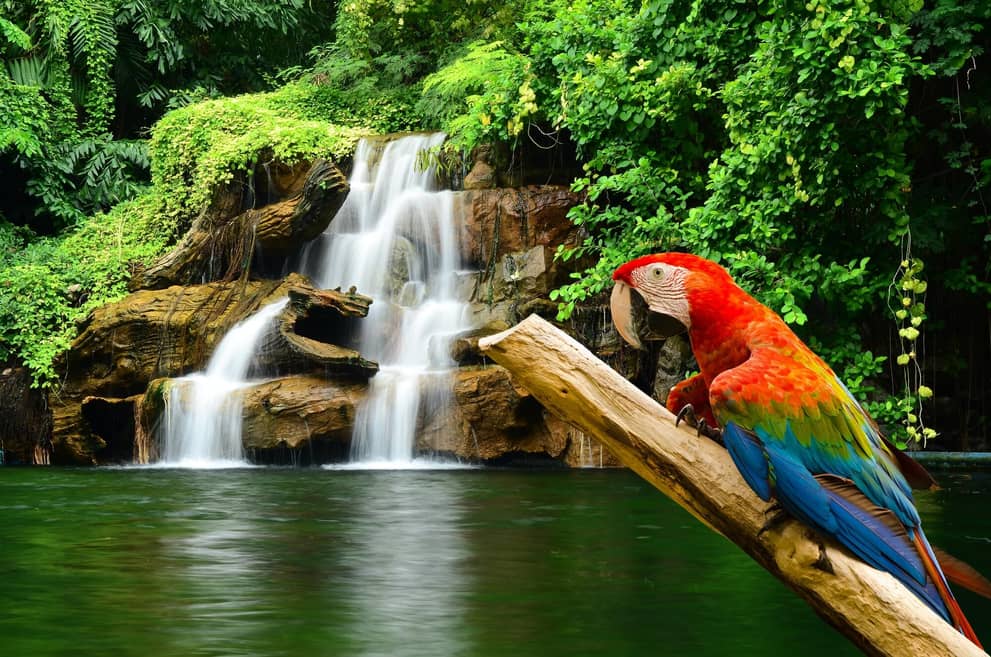 “Pink Noise” is Good For Your Health about false