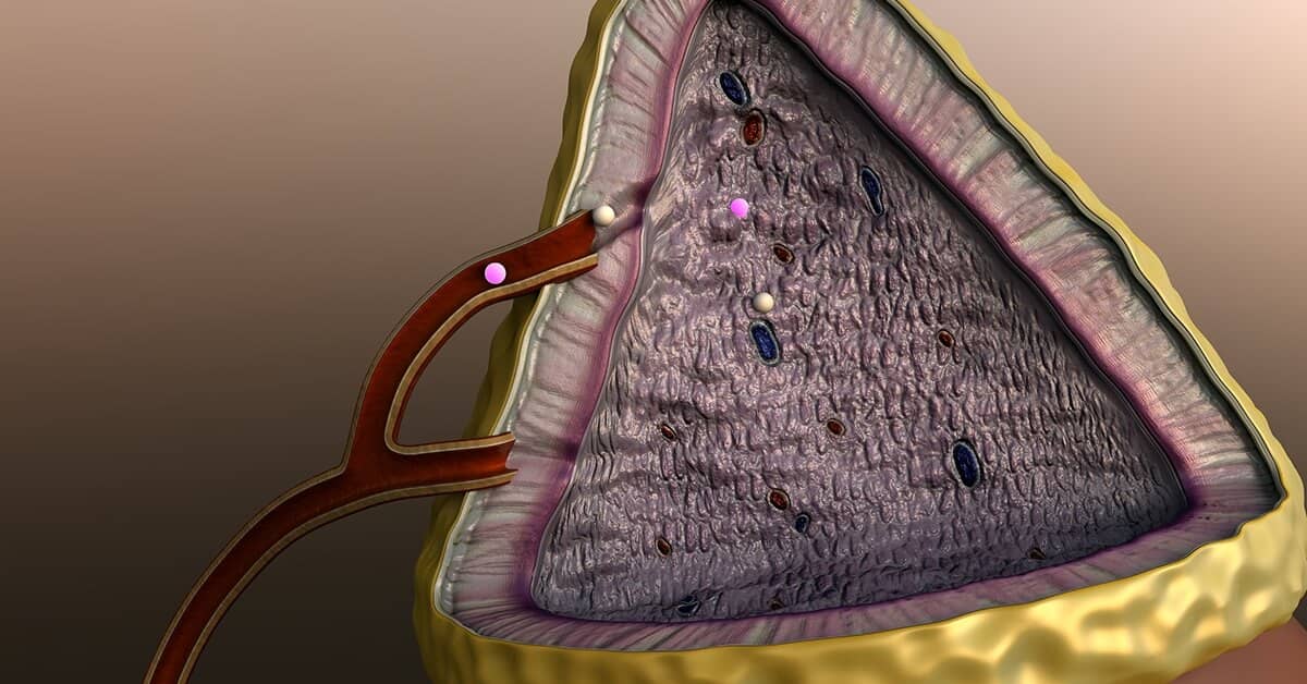 Two out of Three Americans Affected by a Condition Doctors Say Doesn't Exist about Genesis