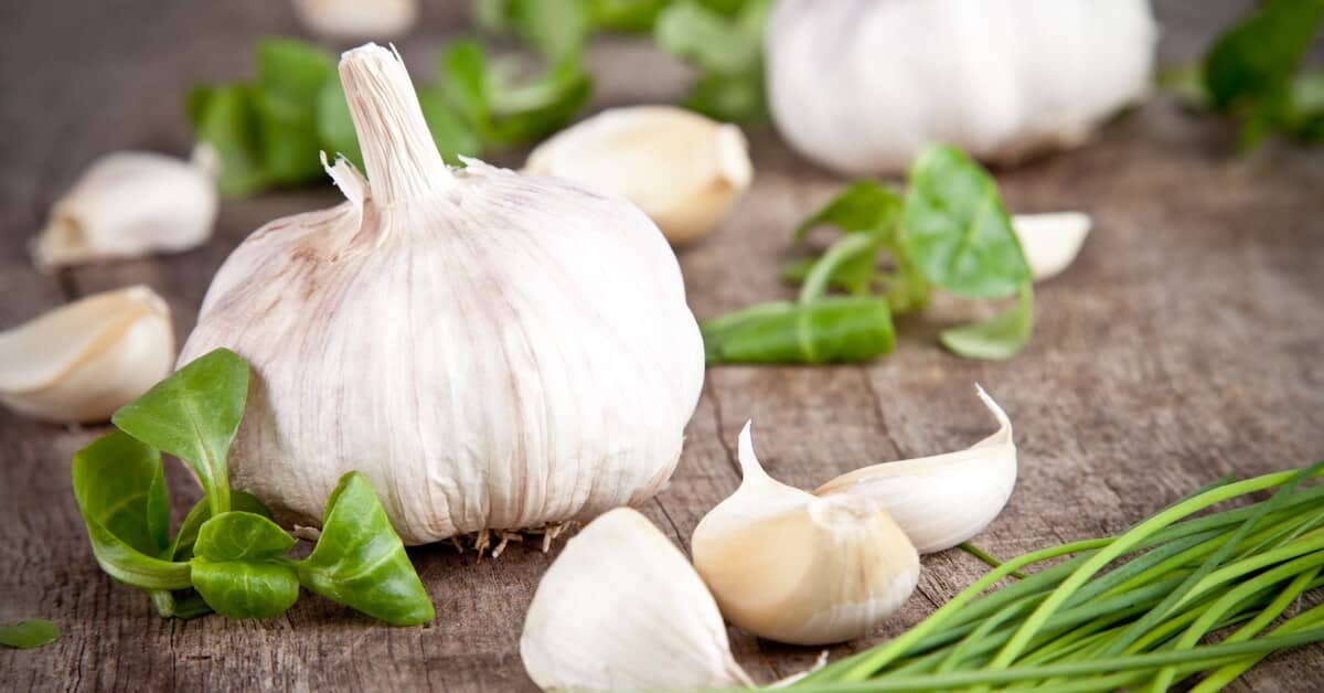 This Herb Can Improve Your Health Fifty Ways about Colon Ultra Cleanse