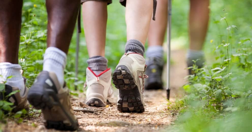 "Man's Best Medicine" Cuts Risk of Early Death by 15% about false