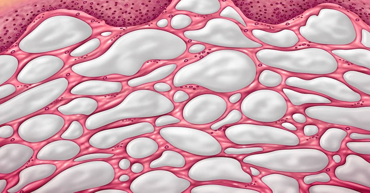 Newly Discovered Body Organ Has Been Hiding in Plain Sight! about Vital Force