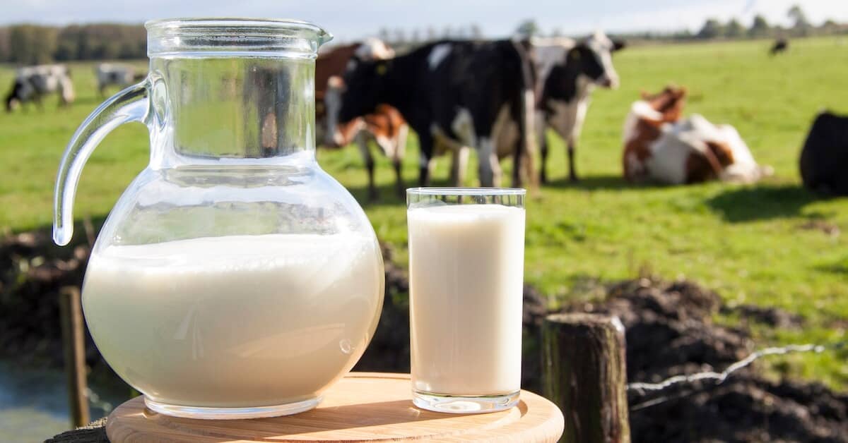Old Wives Tale or Real Problem? Milk and Mucus Secretion about Colon Ultra Cleanse