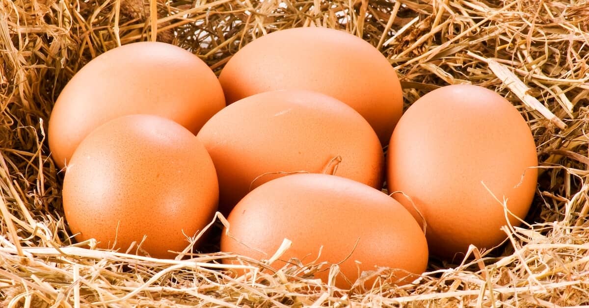 Shocking New Discovery on What Eggs Do to Your Heart about ComfortPro