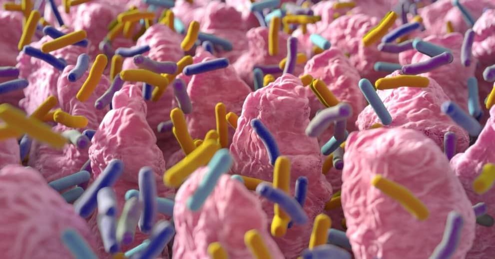 This Yucky Treatment May be Worth Considering about false