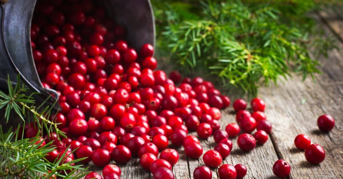 At Least One Holiday Food Was Good for Us about Colon Ultra Cleanse