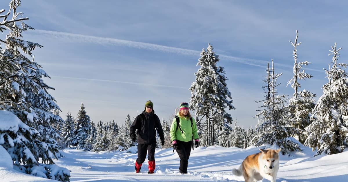 Unique Health Benefits of Cold Weather Exercise about Bone & Muscle Defense