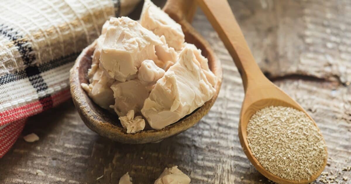 Natural Yeast Helps the Body Resist Disease about ComfortPro