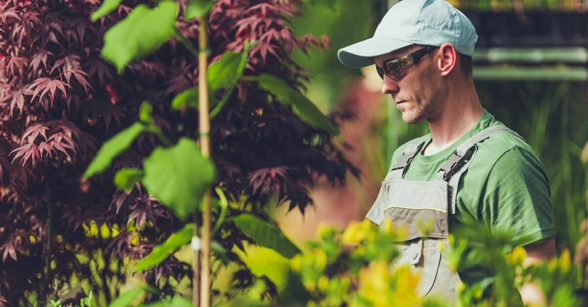 Why One Backyard Hobby is a Great Defense Against Anxiety, Depression about Stem Cell Restore