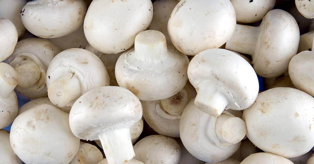 Little-Known Super Amino Acid Protects Against Aging about Genesis