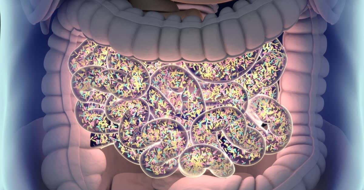 These Bacteria Can Make You Healthier – If You Let Them about Colon Ultra Cleanse