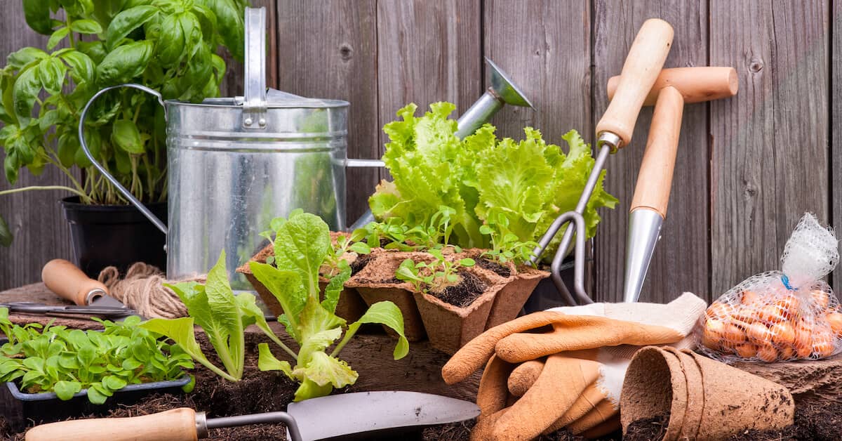 When Drugs Don’t Work, These Activities Might Help about Vital Force