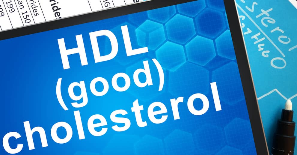 HDL Cholesterol: How This Heart Saving Fat Could Also Save Your Memory about undefined