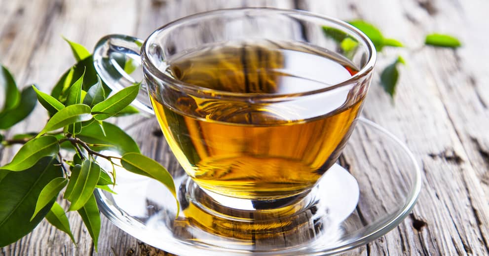 Ancient Tea Leaf Gets New Attention As A Virus Fighter about undefined