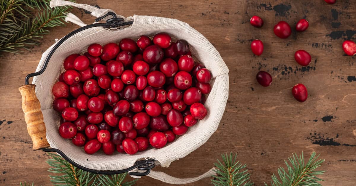 Berry Secret Stops Dementia and Lowers Your Cholesterol! about Advanced Brain Power