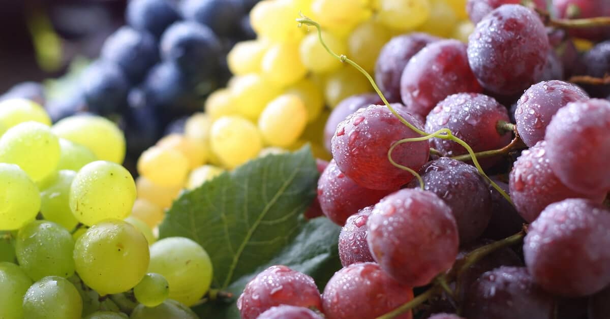 The Common Food That Really Is Medicine For Your Body about My Sinus Miracle