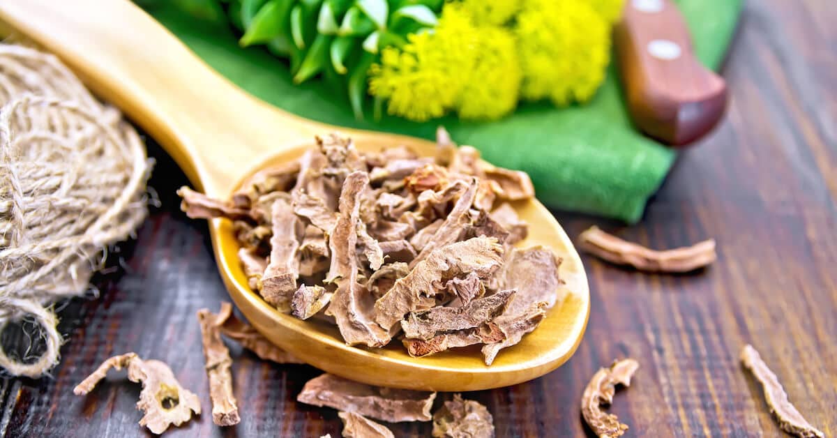 This Powerful Viking Herb Could Help You Vanquish Aging about Stem Cell Restore