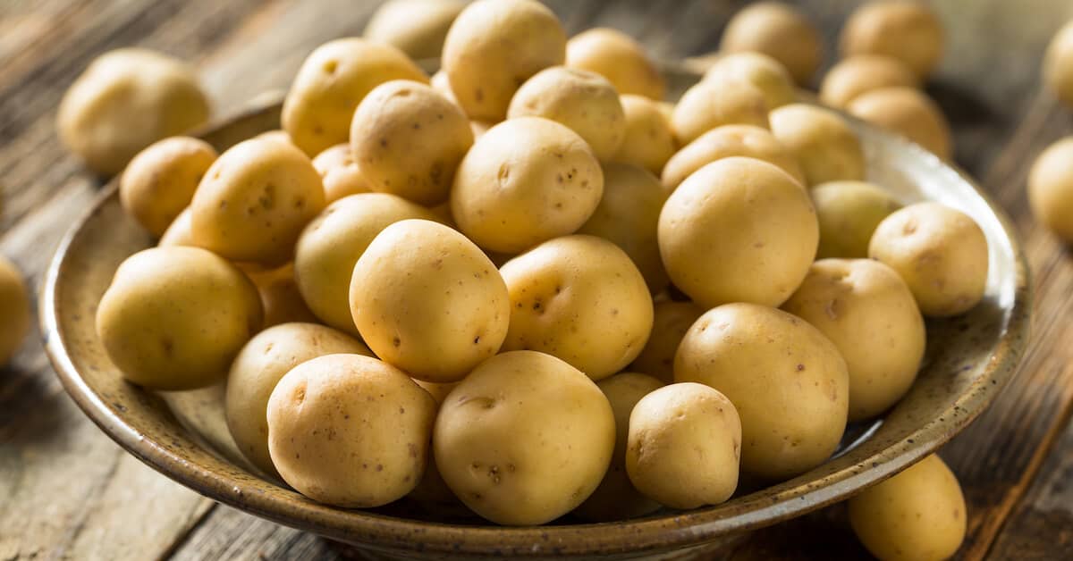 Does This Dietary Staple Deserve Its Bad Reputation? about My Sinus Miracle