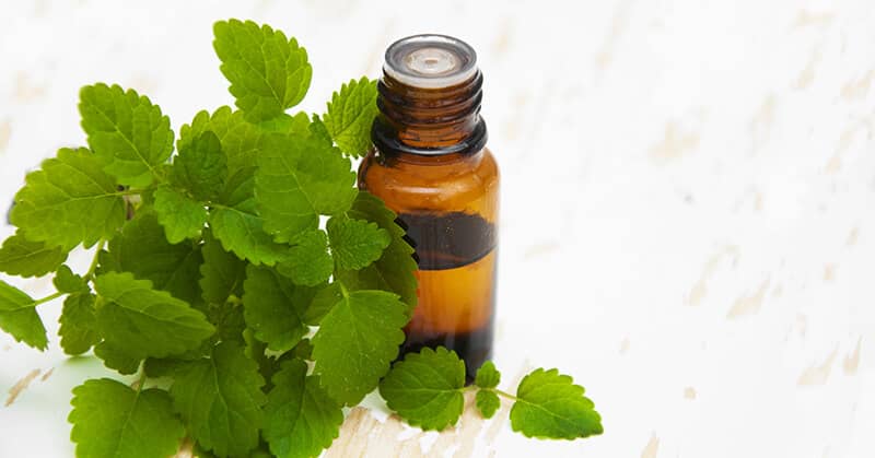 This Migraine-Erasing Oil Is A Must Have about My Sleep Miracle