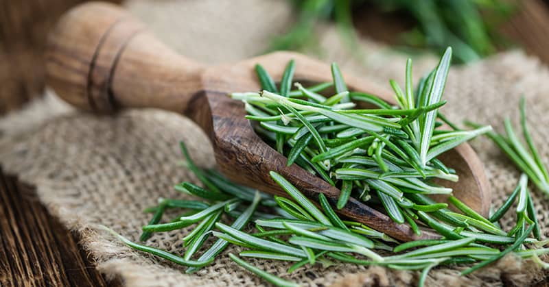 Put This Italian Herb In Your Medicine Cabinet about Advanced Brain Power