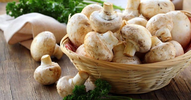 Have Scientists Discovered a New Vitamin? about false