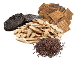 Ingredient OsteoSine™* Herbal Blend (Astragalus membranaceus (Root), Cuscuta chinensis (Seed) Eucommia ulmoides (Bark), Rehmannia glutinosa (Root)) in Bone & Muscle Defense On-The-Go Stick