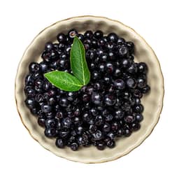 Ingredient MaquiBright® Maqui Berry (Aristotelia chilensis) Extract in Eye Vitality Plus