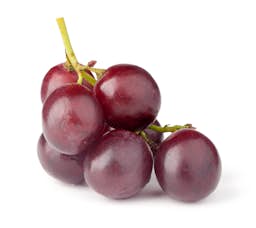 Ingredient Grape Seed Extract (Vitis vinifera seed) (Standardized to 95% Proanthocyanidins) in Stem Cell Restore