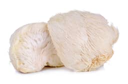 Ingredient Lions Mane Extract 30% Polysaccharides (Hericium Erinaceus Fruiting bodies) in Maximum Memory Support