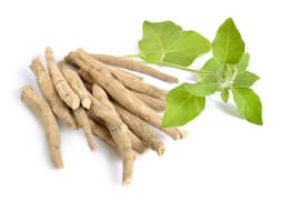 Ingredient KSM-66® Organic Ashwagandha Extract (Withania somnifera) (root) (5% withanolides) (Less than 0.1% Withaferin A) in My Sleep Miracle