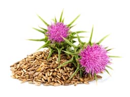 Ingredient Milk Thistle Seed 80% Extract (standardized to 80% silymarin) in Triple Joint Relief Gold