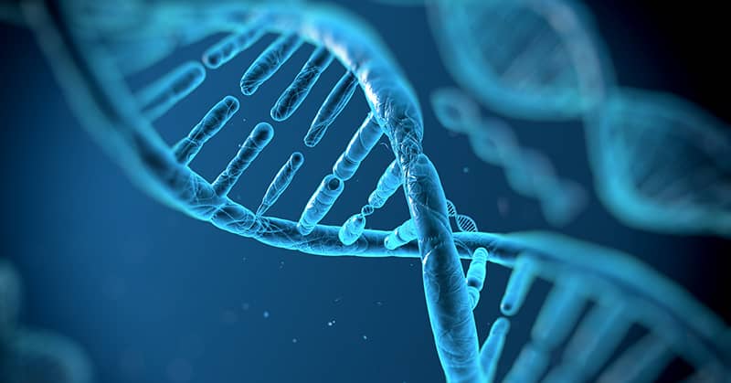 Toxin Found In Your Body Makes You Old Before Your Time about Vital Force