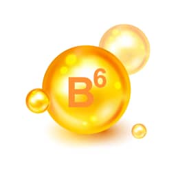 Ingredient Vitamin B6 (Pyridoxine HCI) in Vital Force