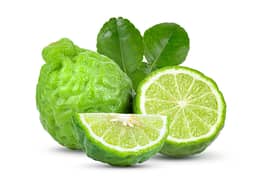 Ingredient Citrus Bergamot Extract (as citrus bergamia risso)
Bergamot Polyphenolic Fraction Gold (BPFG)®
(47% BPFG® comprised of Neoeriocitrin, Naringin, Neohesperidin, Melitidin Brutieridin) in My Heart Miracle