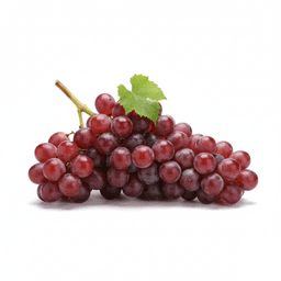 Ingredient Trans-Resveratrol in RejuvaCell