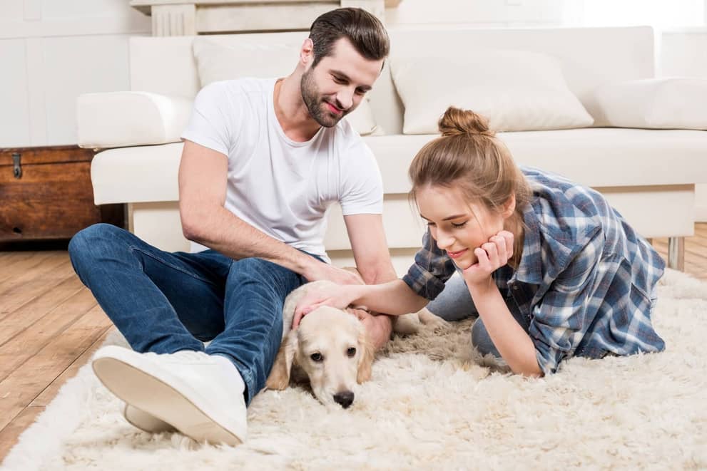 A Very Strange Health Benefit to Having a Dog about undefined